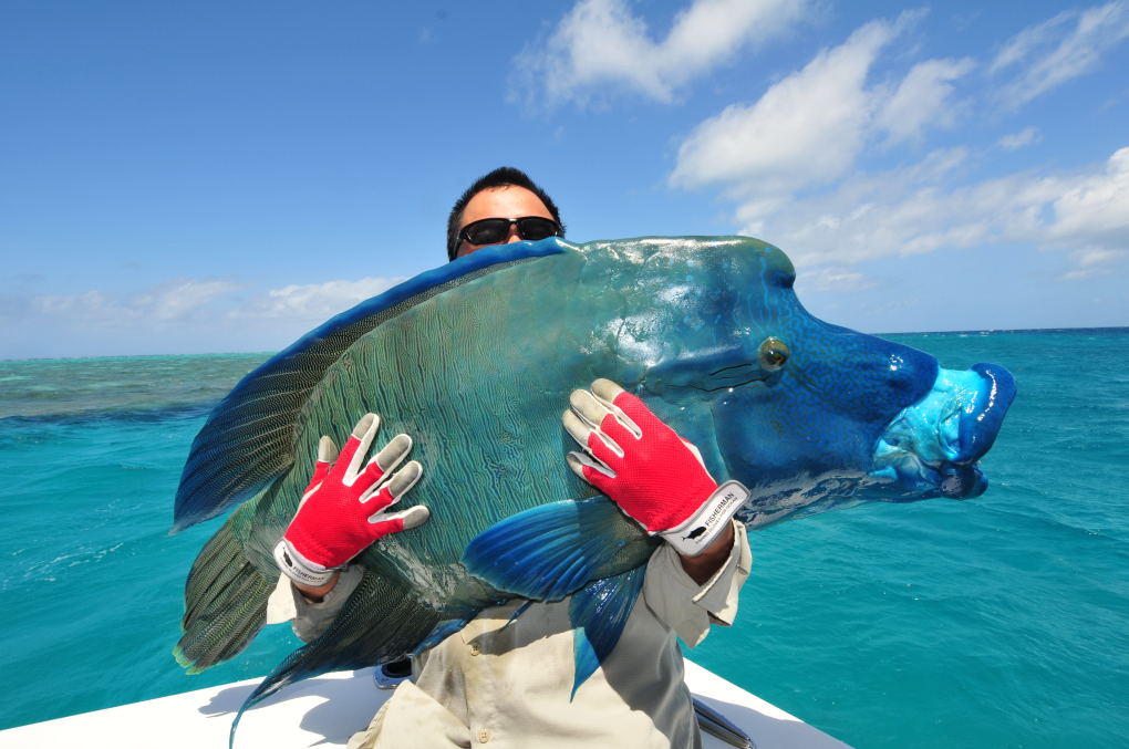 extended-fishing-charters-cairns-to-cape-york-the-great-barrier-reef